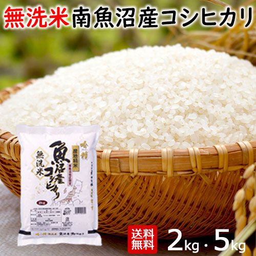 令和5年産】コシヒカリ 10kg 玄米 | motoharafarm