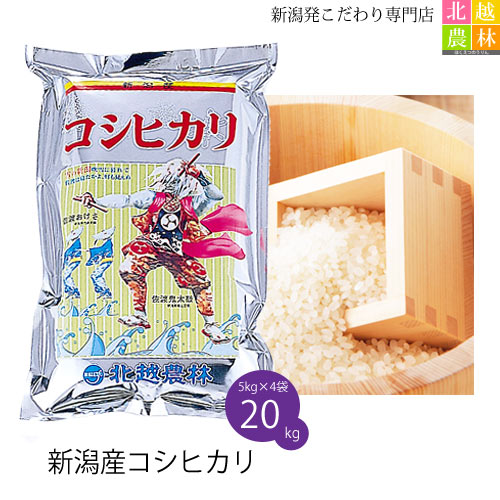 配送員設置送料無料 楽天市場 新潟産 コシヒカリ kg 5kg 4袋 令和2年産 米 kg 送料無料 こしひかり 新潟 白米 新潟発こだわり専門店 北越農林 大流行中 Www Laperodeslocaux Fr