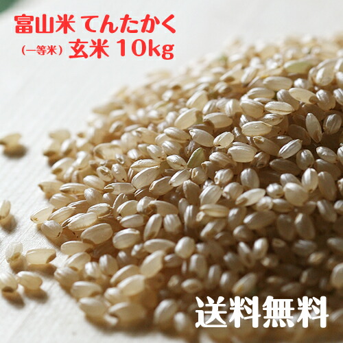 富山県産てんたかく玄米<br>(一等米)10kg<br>【令和6年度産】