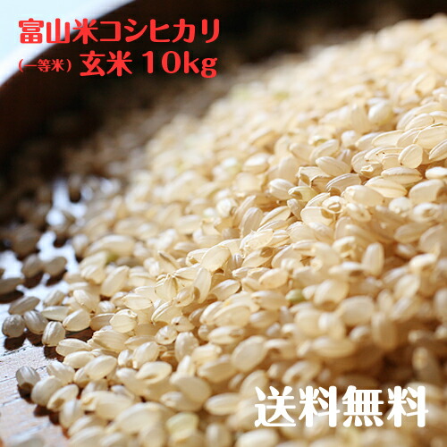 富山県産コシヒカリ玄米<br>(一等米)10kg<br>【令和6年度産】