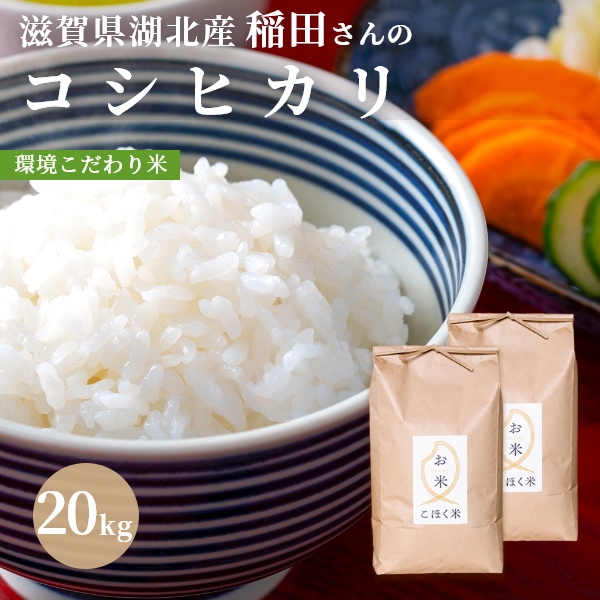 滋賀県産キヌヒカリ5年産玄米30kgまたは白米27kg - 米