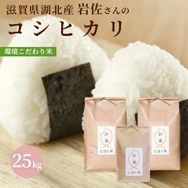 食品 令和7年産 こだわりのお米 特別栽培米 コシヒカリ 玄米 25kg