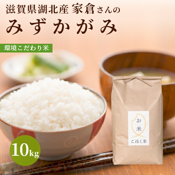 楽天市場 新米 みずかがみ 10kg 5kg 2袋 環境こだわり米 令和3年 滋賀県産 送料無料 近江の国から木村商店