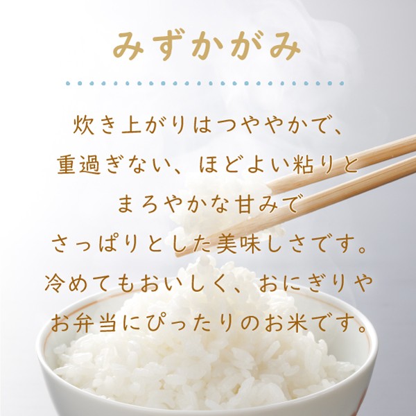 楽天市場 令和3年 滋賀県湖北産家倉さんのみずかがみ 10kg 食味最高ランク特a 4度受賞 環境こだわり米 特別栽培米 白米 玄米 お米屋さん楽天市場店