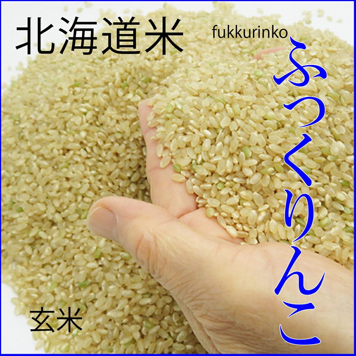 買い保障できる 玄米 20kg 5kg×4 ふっくりんこ 令和3年北海道産 qdtek.vn