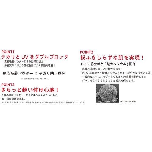 楽天市場 クーポン配布中 送料無料 ネコポス 黒龍堂 プライバシー Uvパウダー 50 黒龍堂 フェースパウダー フェイスパウダー お直しパウダー Uvケア 紫外線予防 Okショップ