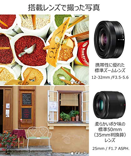 ☆最安値に挑戦 パナソニック ミラーレス一眼カメラ ルミックス GF10 