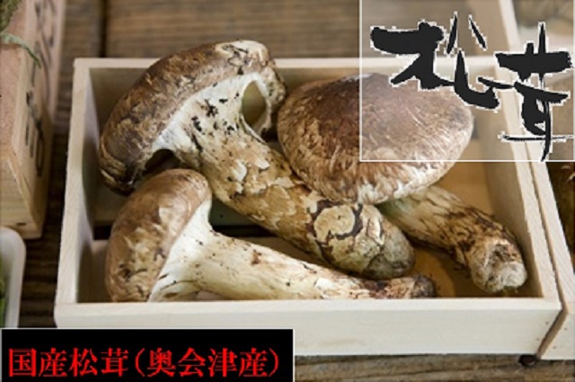 楽天市場】【松茸】松茸 国産【訳あり規格外品】約100g 奥会津産・岩手