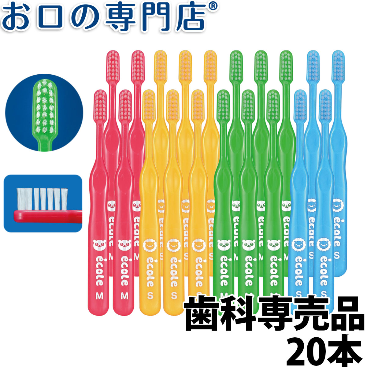 【楽天市場】【送料無料】歯科専売品 大人用子ども用