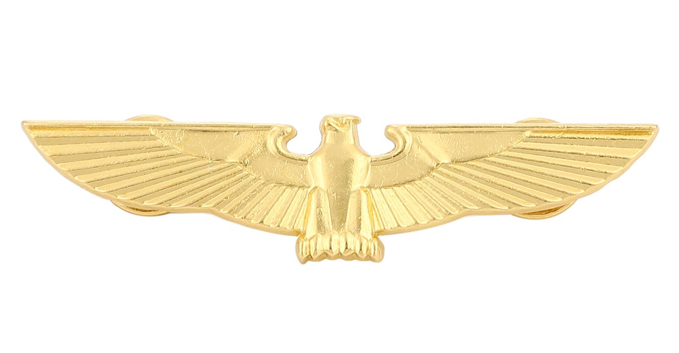 楽天市場】バッジ ピンバッジ ピンズ ラペルピン 鷲 ゴールド 翼を広げ