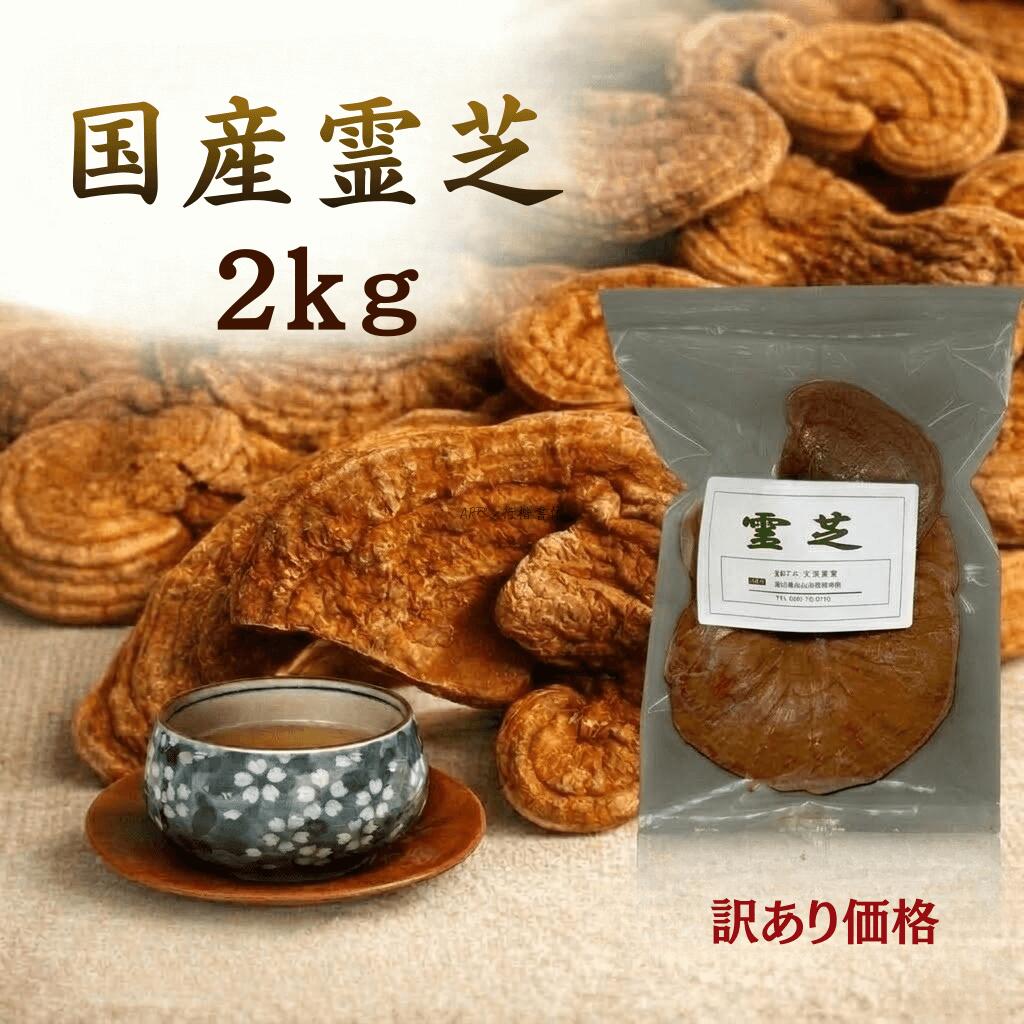 国産 霊芝 アウトレット 2kg 奥三河産 無農薬 原木栽培 レイシ サルノコシカケ 霊芝茶 健康茶 送料無料