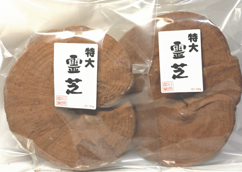 楽天市場】楊貴芝 カプセル粋 1箱120カプセル入り 霊芝 レイシ