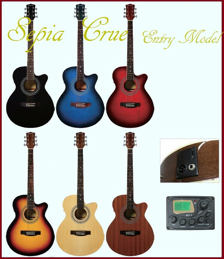 プレイテック　SA20 Green セミアコースティックギター　グリーン 楽天市場】PLAYTECH（プレイテック） セミアコ SA20 Green
