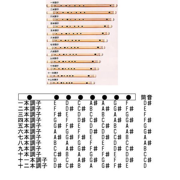 篠笛 天柊藤巻 二本調子 正律管（ドレミ調） 和楽器 | democoffee