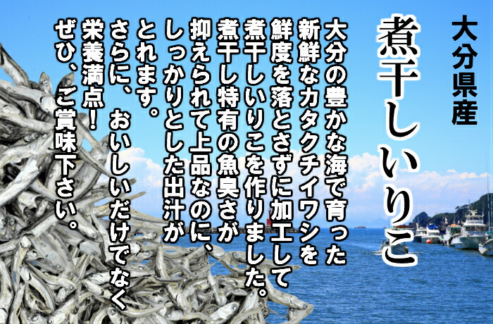 送料無料ゆうパック業務用煮干しかえりいりこかたくちいわしいわしの子食べるいりこ500g