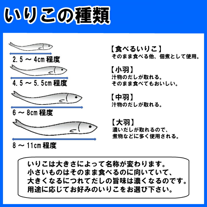 送料無料ゆうパック業務用煮干しかえりいりこかたくちいわしいわしの子食べるいりこ500g