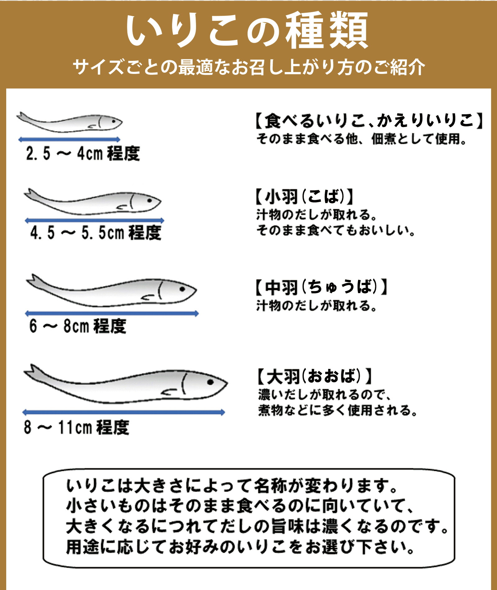 送料無料メール便煮干しかえりいりこかたくちいわしいわしの子食べるいりこ100g