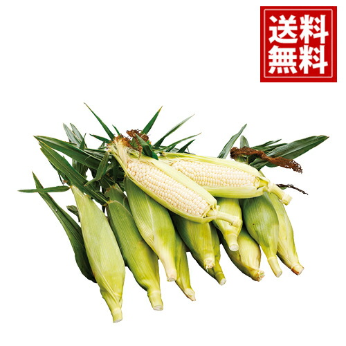 お中元 送料無料 北海道鳥潟農園 朝採り白いフルーツコーン 12本 詰合せ 甘い 国産 お得 御礼 御中元 ギフト 御礼 お土産 お供え 内祝 ご挨拶 ギフトセット 快気祝 お返し 夏ギフト 夏 Andapt Com