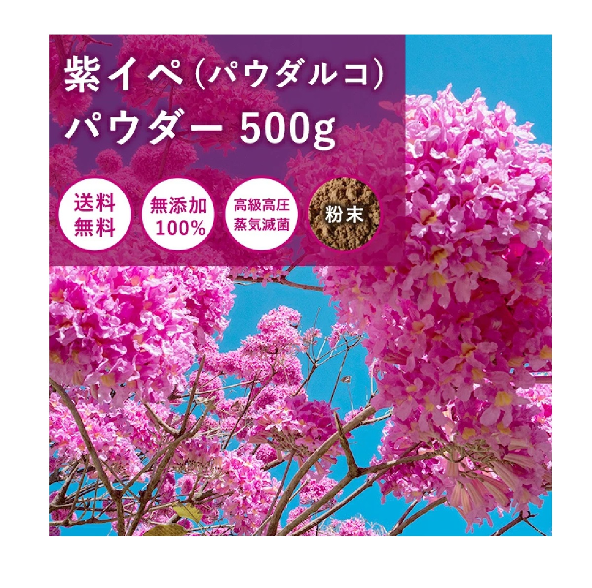 【健康食品】紫イペパウダー 500g 1袋 パウダルコ 紫イペ 茶 健康茶 ノンカフェイン 粉末 無添加 美容茶 ノンカフェイン茶 ノンカフェインティー お茶 粉末茶 粉茶 健康 葉酸 イノシトール ビタミンb ビタミンb12 鉄分 パウダー 粉 健康ドリンク 粉末 美容ドリンク No.420｜くすり屋