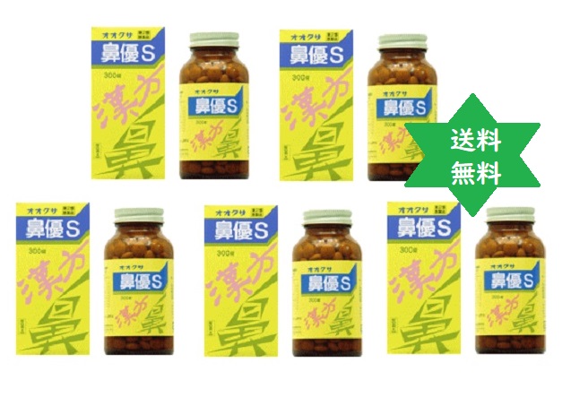 づまり・蓄膿症(副鼻腔炎)・慢性鼻炎