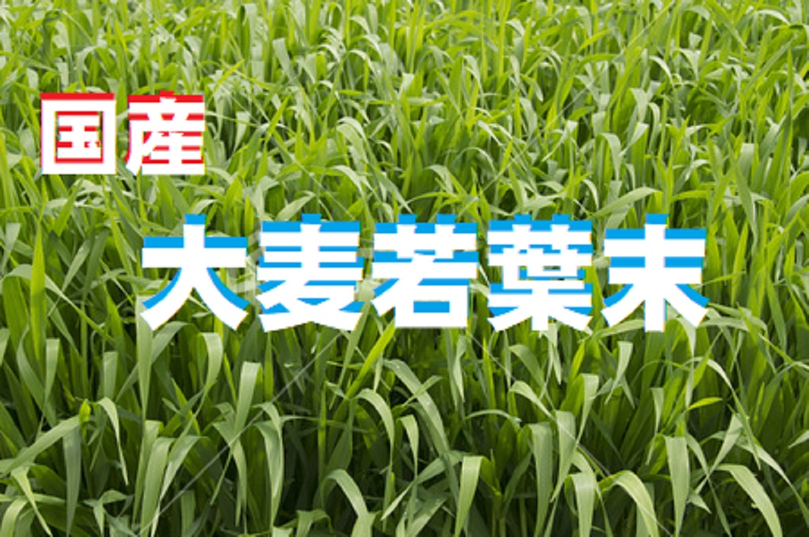 【健康食品】大麦若葉末 3kg (1kg入3袋) ●国産 若葉青汁 大麦若葉 青汁 粉末 粉 カリウム 食物繊維 パウダー 大麦若葉粉末 無添加 おいしい青汁 子供 野菜不足 健康青汁 健康飲料粉末 ・送料当社負担 高圧蒸気滅菌品100%　 No.354