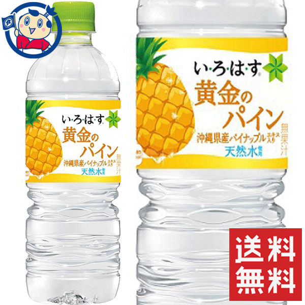 送料無料 コカコーラ いろはす 黄金のパイン 555ml 48本 計2ケース 発売日 21年6月21日 Sobolewscy Pl