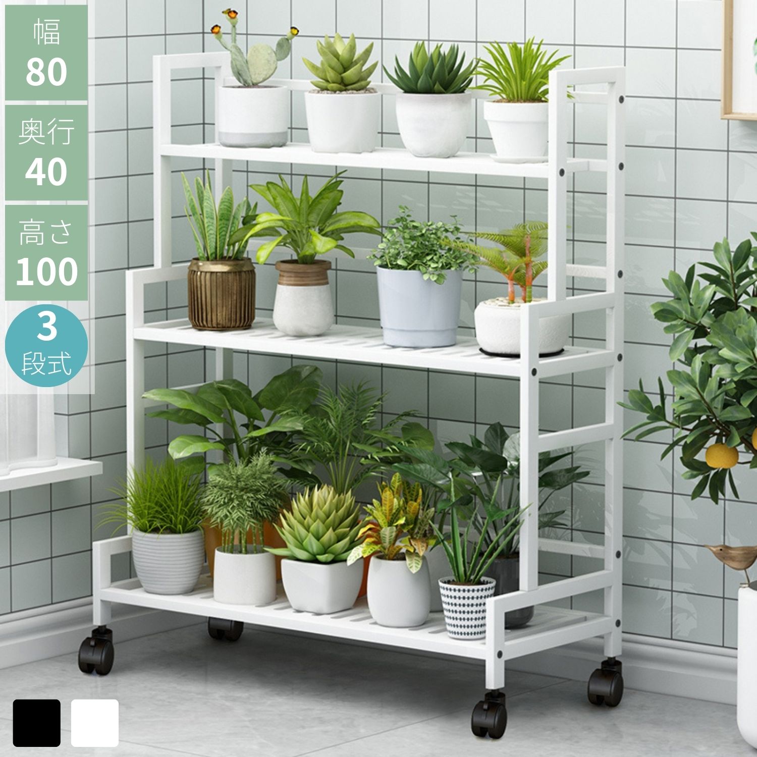 アイアン　プランタースタンド2段　植物棚　多肉植物などに　即発送 Amazon.co.jp: 多肉植物 観葉植物ラック フラワースタンド