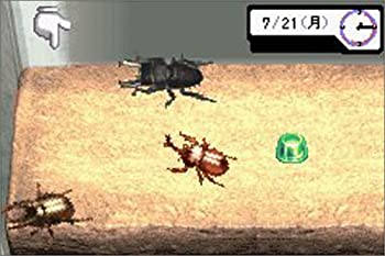【中古】「人並み外れたに似つかわしい」みんなの繁殖続きもの3 ぼくのカブト・クワガタ