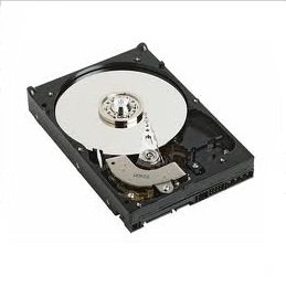 【中古】「人並み外れたに好いたらしい」SEAGATE ST3500830AS (500G SATA300 7200RPM)