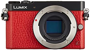 【中古】「人並み外れたに似つかわしい」パナソニック 銀鏡受け答え一眼写真機 GM5 上半身 赤いこと DMC-GM5-R