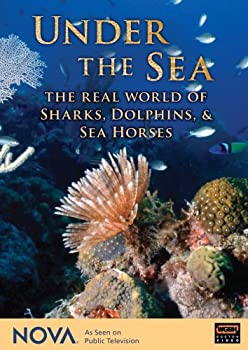 【中古】「未使用品」Nova: Under the Sea - Real World of Sharks Dolphin [DVD] [Import]