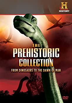 【中古】「非常に良い」Prehistoric Collection: From Dinosaurs to Dawn [DVD] [Import]｜オマツリライフ別館