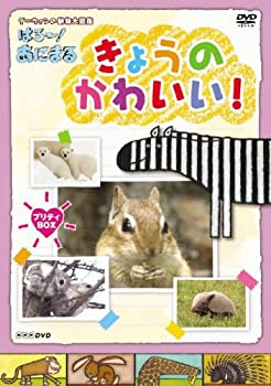 【中古】「未使用品」きょうのかわいい! プリティBOX [DVD]｜オマツリライフ別館
