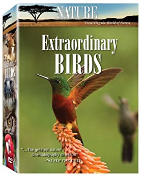 【中古】「未使用品」Nature: Extraordinary Birds [DVD] [Import]