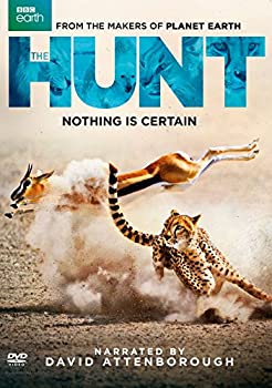 【中古】「非常に良い」Hunt [DVD]｜オマツリライフ別館