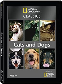 【中古】「非常に良い」National Geographic Classics: Cats & Dogs [DVD] [Import]｜オマツリライフ別館