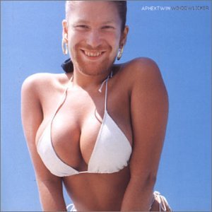 【中古】［CD］Windowlicker 8,285円