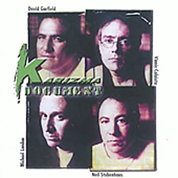 【中古】「ほぼ新品」［CD］Document