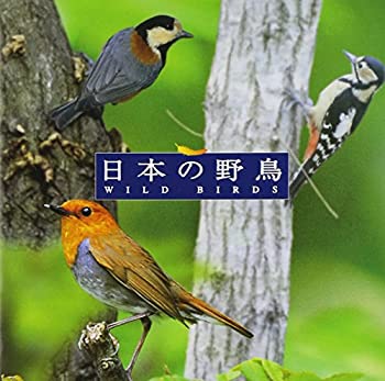 【中古】「ほぼ新品」［CD］〈COLEZO!〉自然音 日本の野鳥
