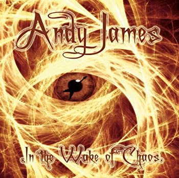【中古】「未使用品」［CD］In the Wake of Chaos｜オマツリライフ別館