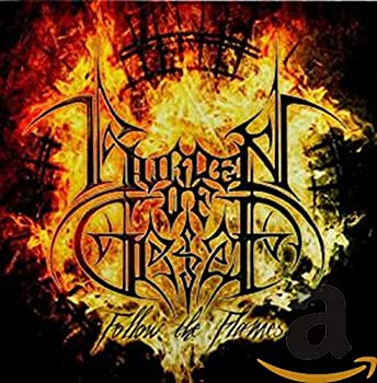 【中古】「ほぼ新品」［CD］Follow the Flames｜オマツリライフ別館