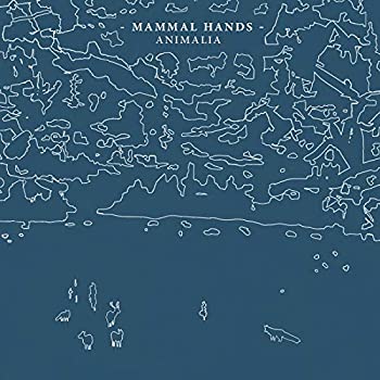 【中古】「未使用品」［CD］Animalia