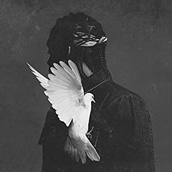 【中古】「ほぼ新品」［CD］Darkest Before Dawn: T