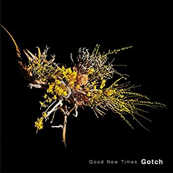【中古】「ほぼ新品」［CD］Good New Times (写真集付) [Analog]