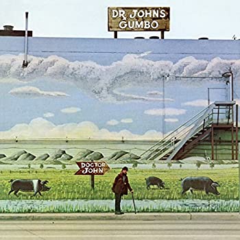 【中古】「未使用品」［CD］Dr John's Gumbo [12 inch Analog]