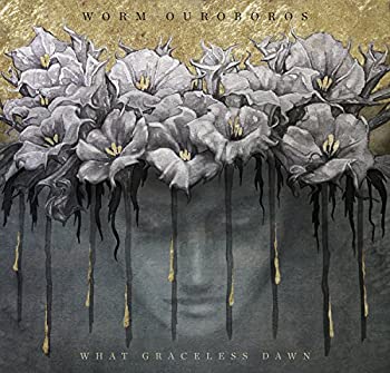 【中古】「未使用品」［CD］WHAT GRACELESS DAWN