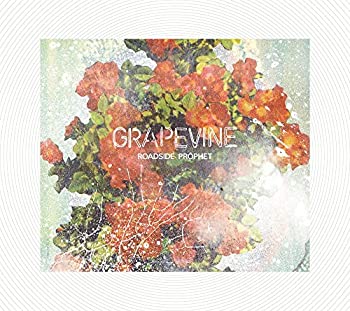 【中古】「ほぼ新品」［CD］ROADSIDE PROPHET(20th Anniversary Limited Edition)