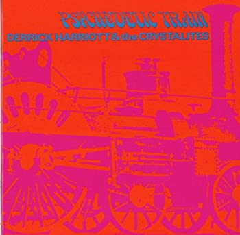 【中古】「ほぼ新品」［CD］PSYCHEDELIC TRAIN: EXPANDED EDITION