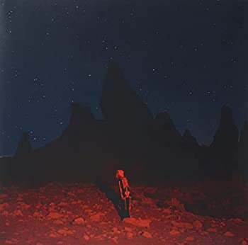 【中古】「ほぼ新品」［CD］Punisher -Gatefold- [Analog]