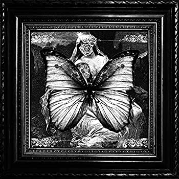 【中古】「ほぼ新品」［CD］渇望の翼